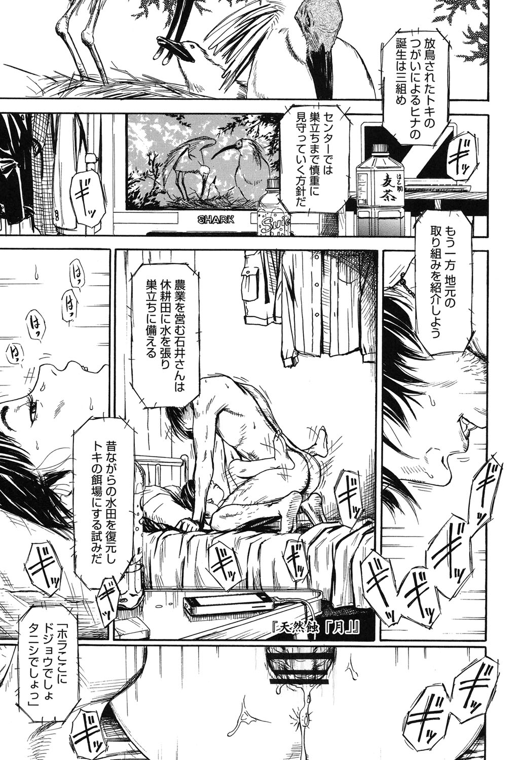 【エロ漫画】兄に調教され続ける妹…お風呂でいちゃら近親相姦セックスで淫乱堕ちしちゃう【町田ひらく：天然蝕「月」】